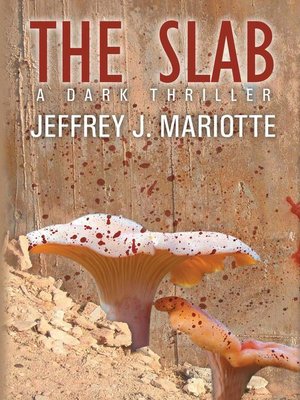 cover image of The Slab